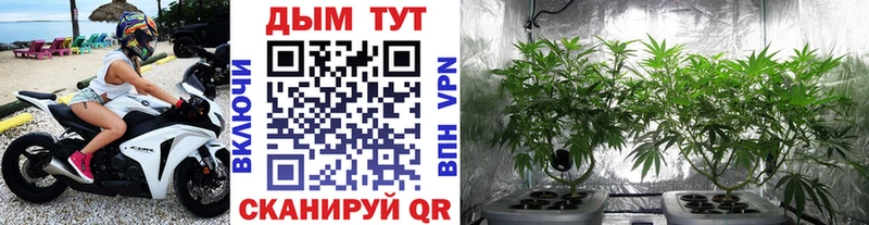 Что такое Дубна Альфа ПВП Меф мяу мяу ГАШИШ Каннабис Кокаин