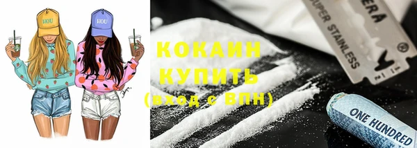 сатива Вяземский