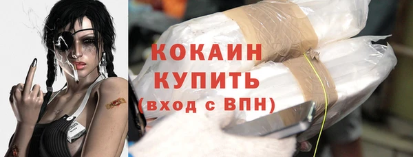 молекула духа Вязьма