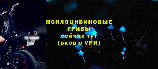 ешки Горняк