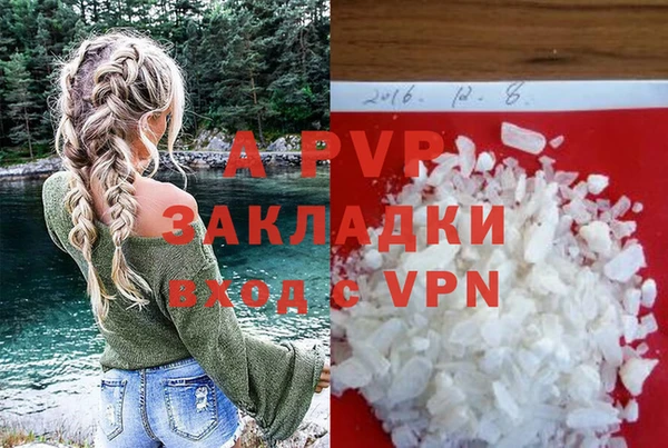 сатива Вяземский