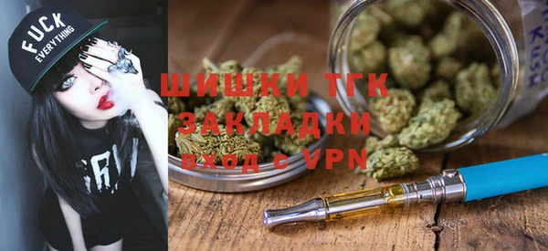 молекула духа Вязьма