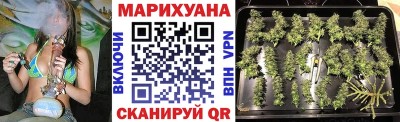 Бошки Шишки SATIVA & INDICA  где купить наркоту  Дубна 